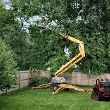 Why Choose Our Tree Removal Services in Camdenton, MO?